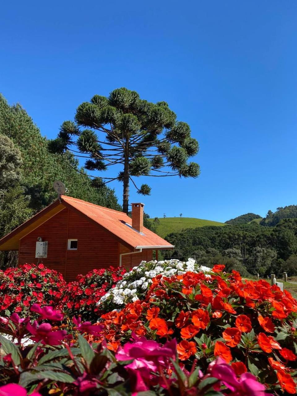 Chales Canto Da Serra Monte Verde  Exterior photo